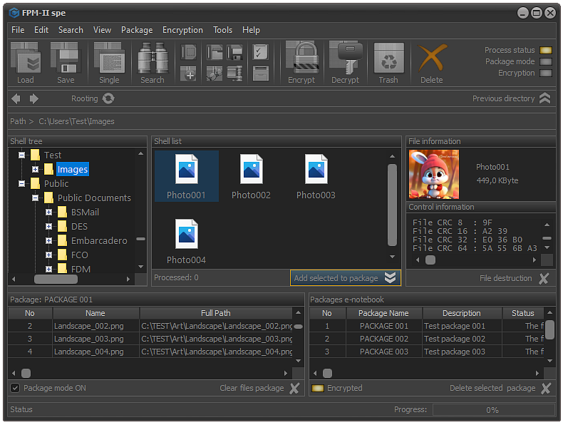 FPS - File information