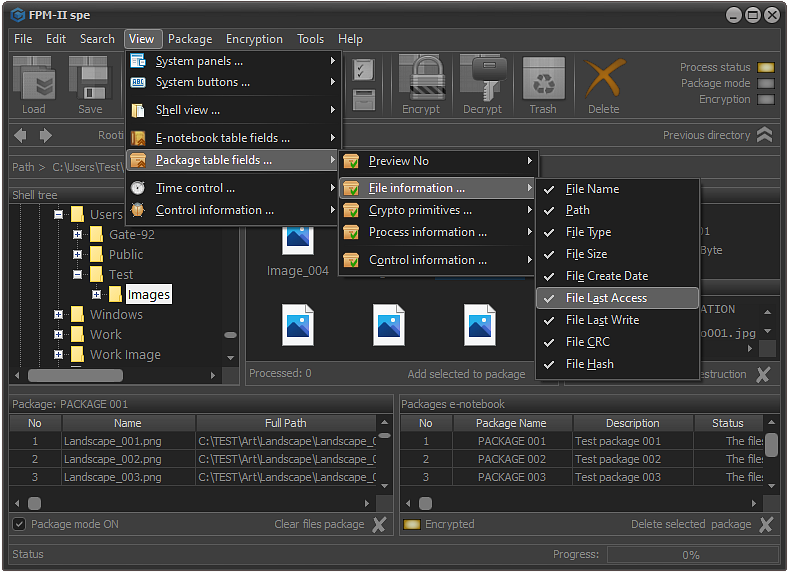FPS - File information