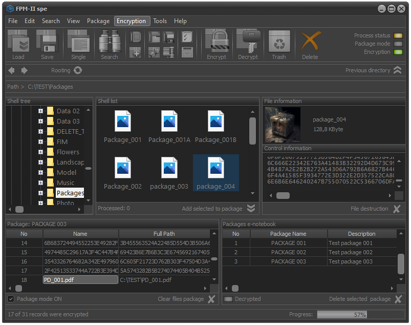 FPS - Encryption settings