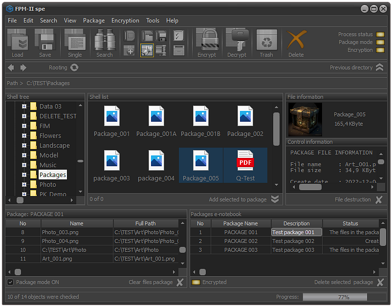 FPS - Encryption settings